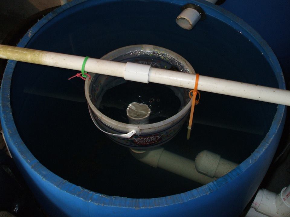 Solids Lifting Overflows (SLOs) for filtration in Aquaponics 